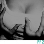pf2013s